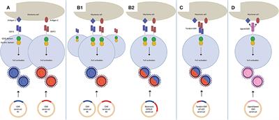 Dual Targeting to Overcome Current Challenges in Multiple Myeloma CAR T-Cell Treatment